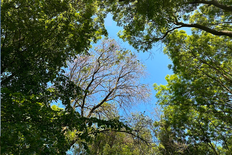 Environmental Management ISO 14001